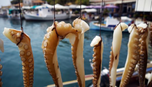 Χταπόδι Λιαστό Λήμνου
