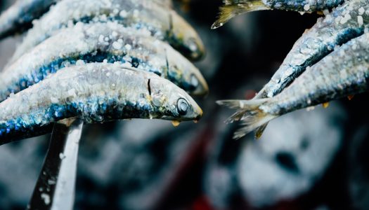 Σαρδέλες Παστές Λήμνου