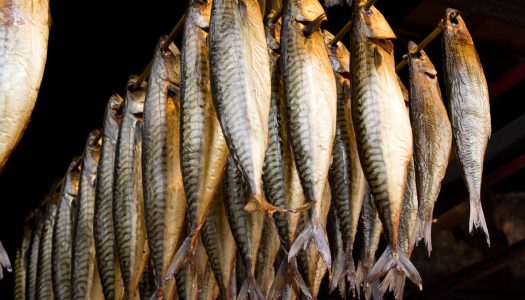 Σκουμπρί Καπνιστό