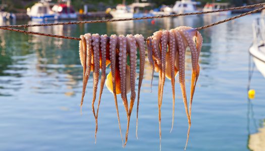 έλα στη Λήμνο…. και πάρε τη θάλασσα μαζί σου…